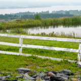 Pond in Aroostook